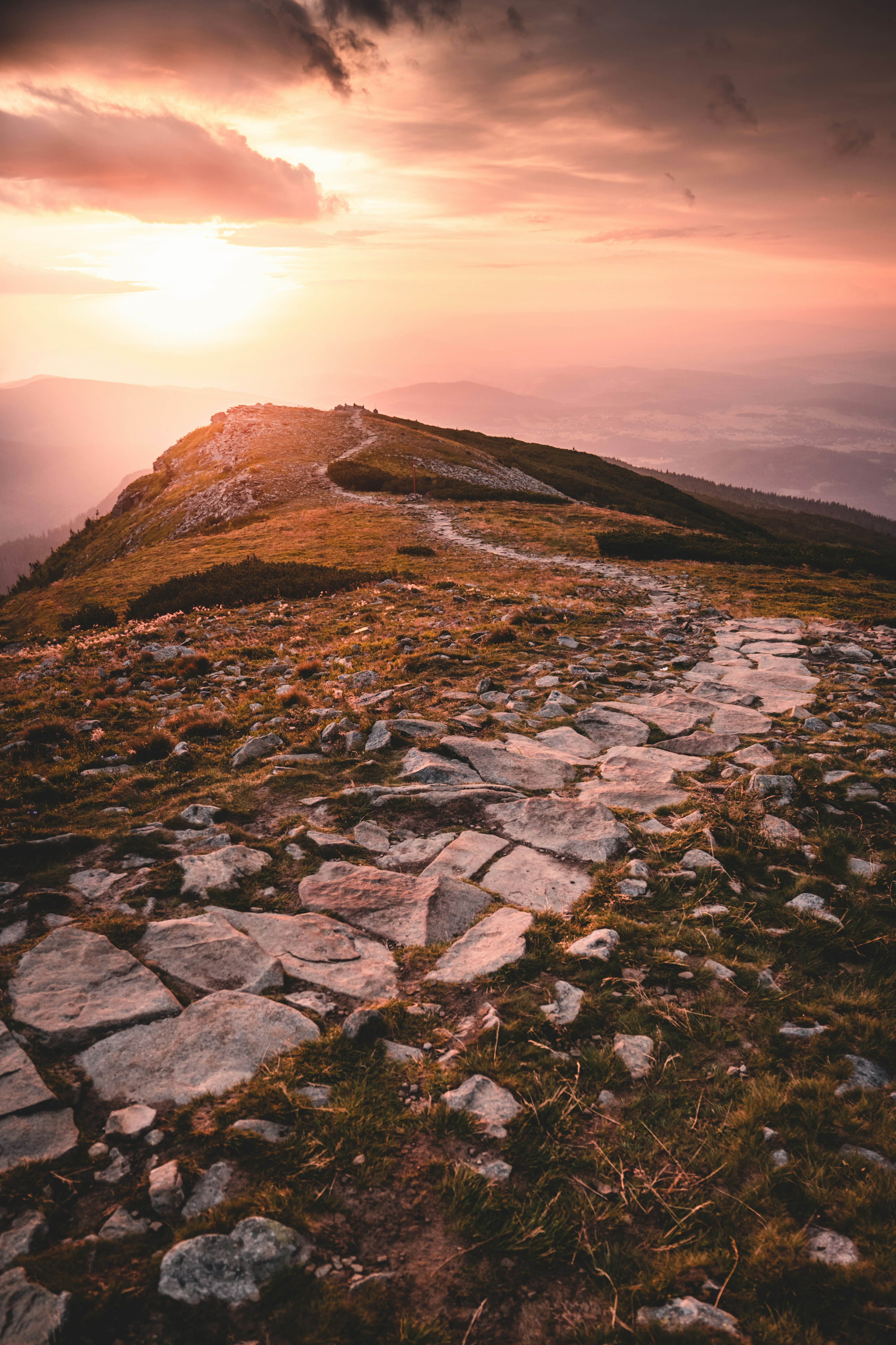 Photo by krystian_piatek