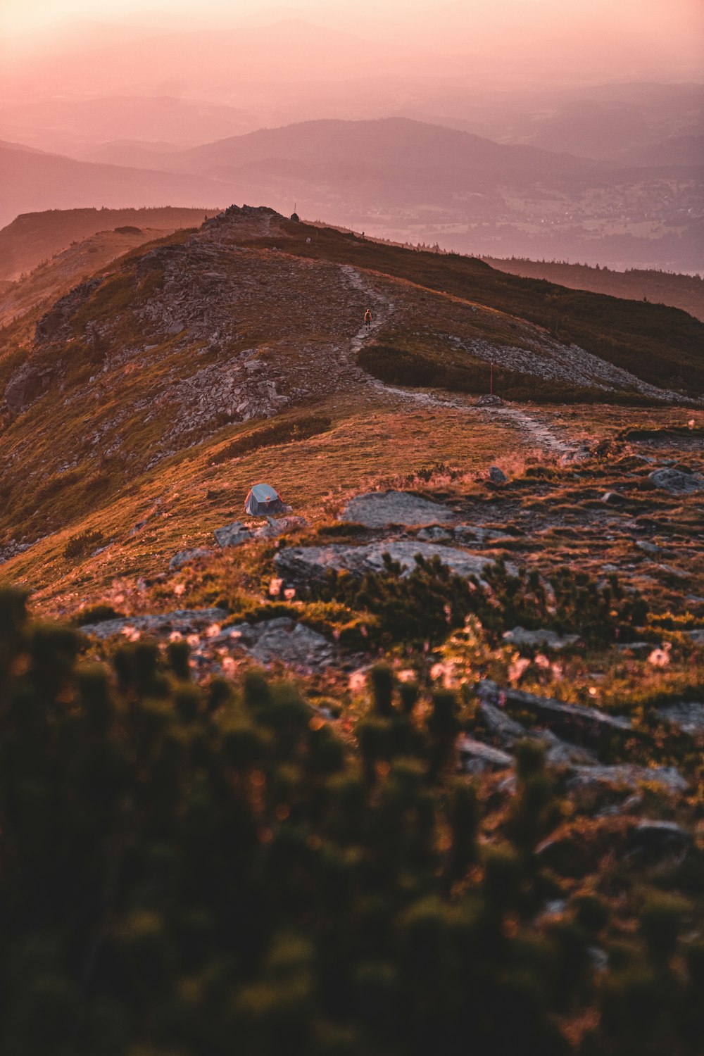 brown and green mountain during daytime