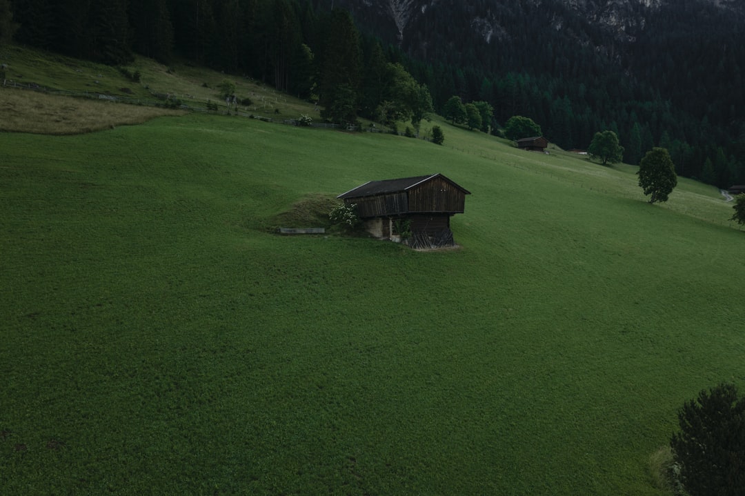 brown wooden house on green grass field near green trees and mountain during daytime