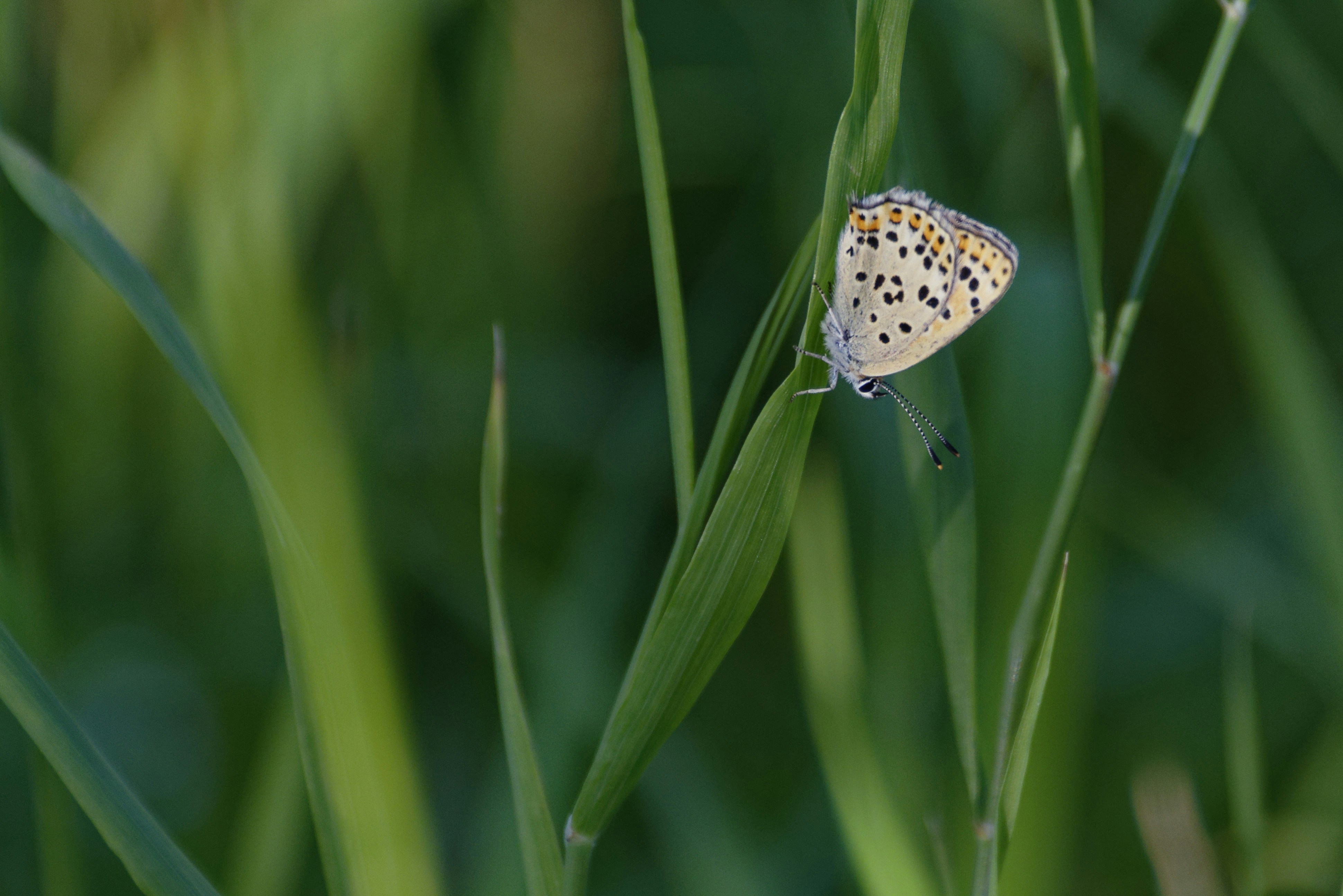 Photo by jeromefarine