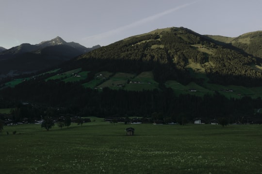 green grass field near green mountain during daytime in Alpbach Austria