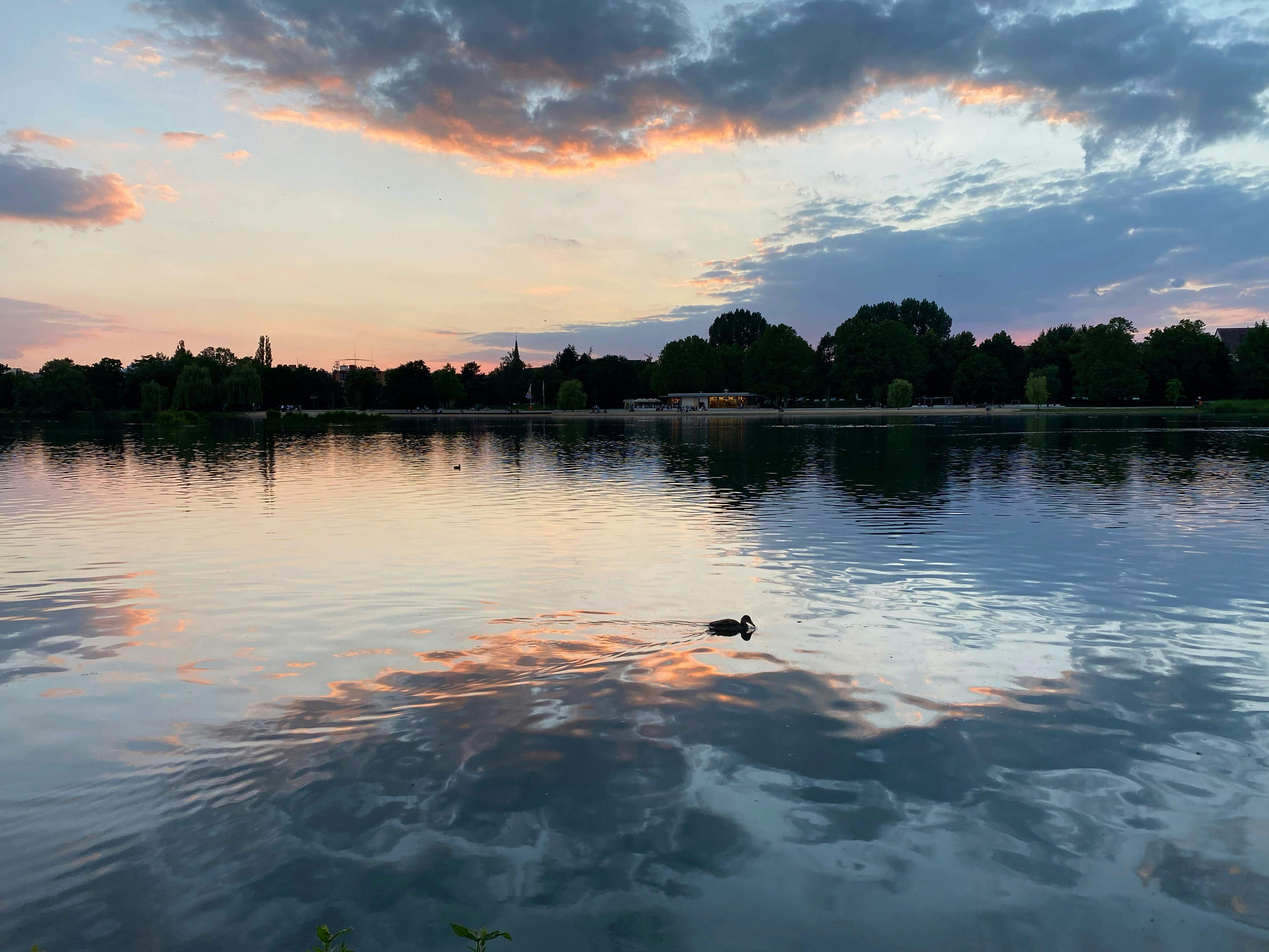 body of water near green trees under cloudy sky during daytime