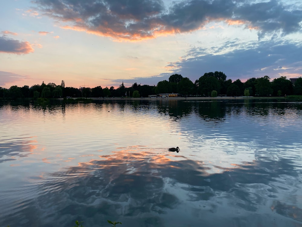 body of water near green trees under cloudy sky during daytime