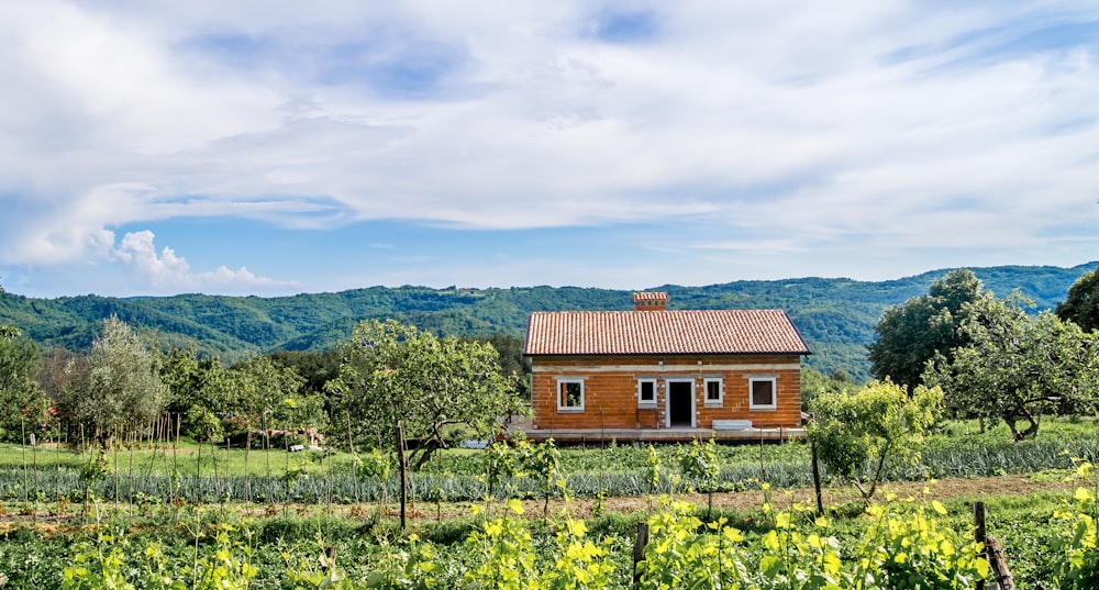 brown and white concrete house on green grass field during daytime