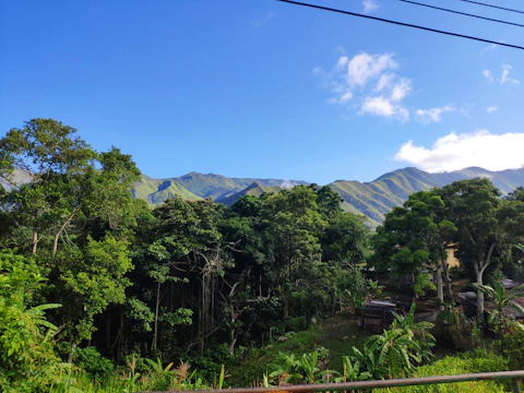 A scenic view of lush green plots with a backdrop of gentle hills under a clear sky.