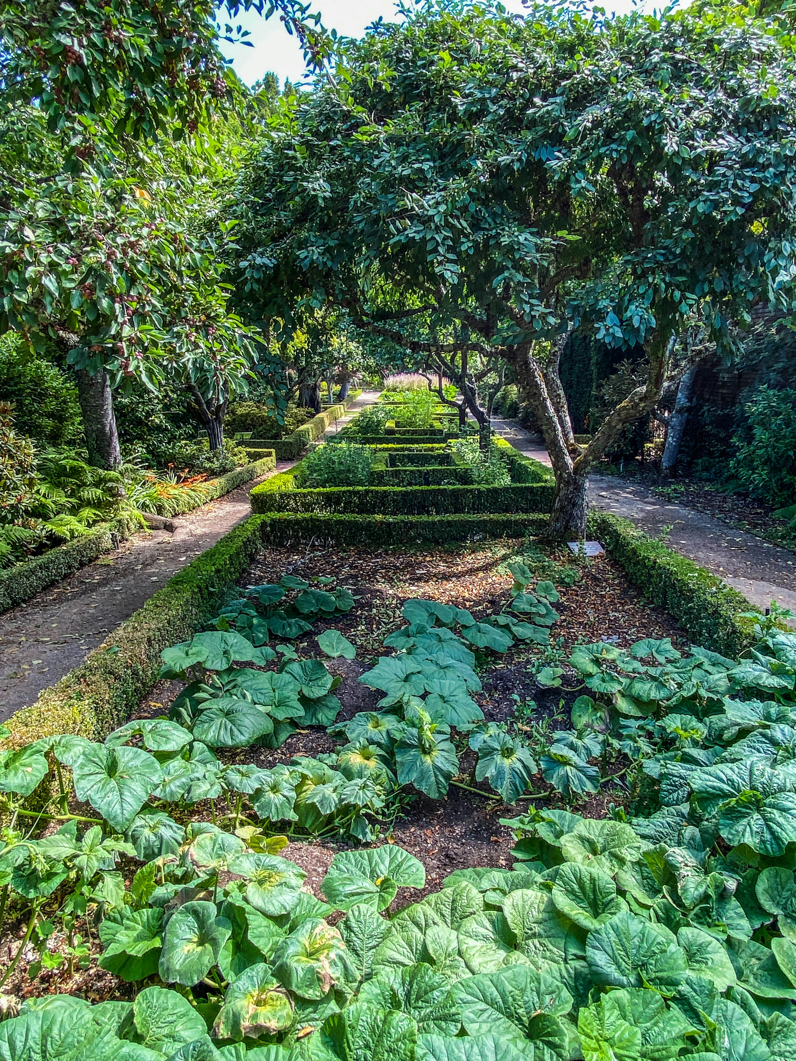 Lush green landscaped garden with mature trees and planting beds