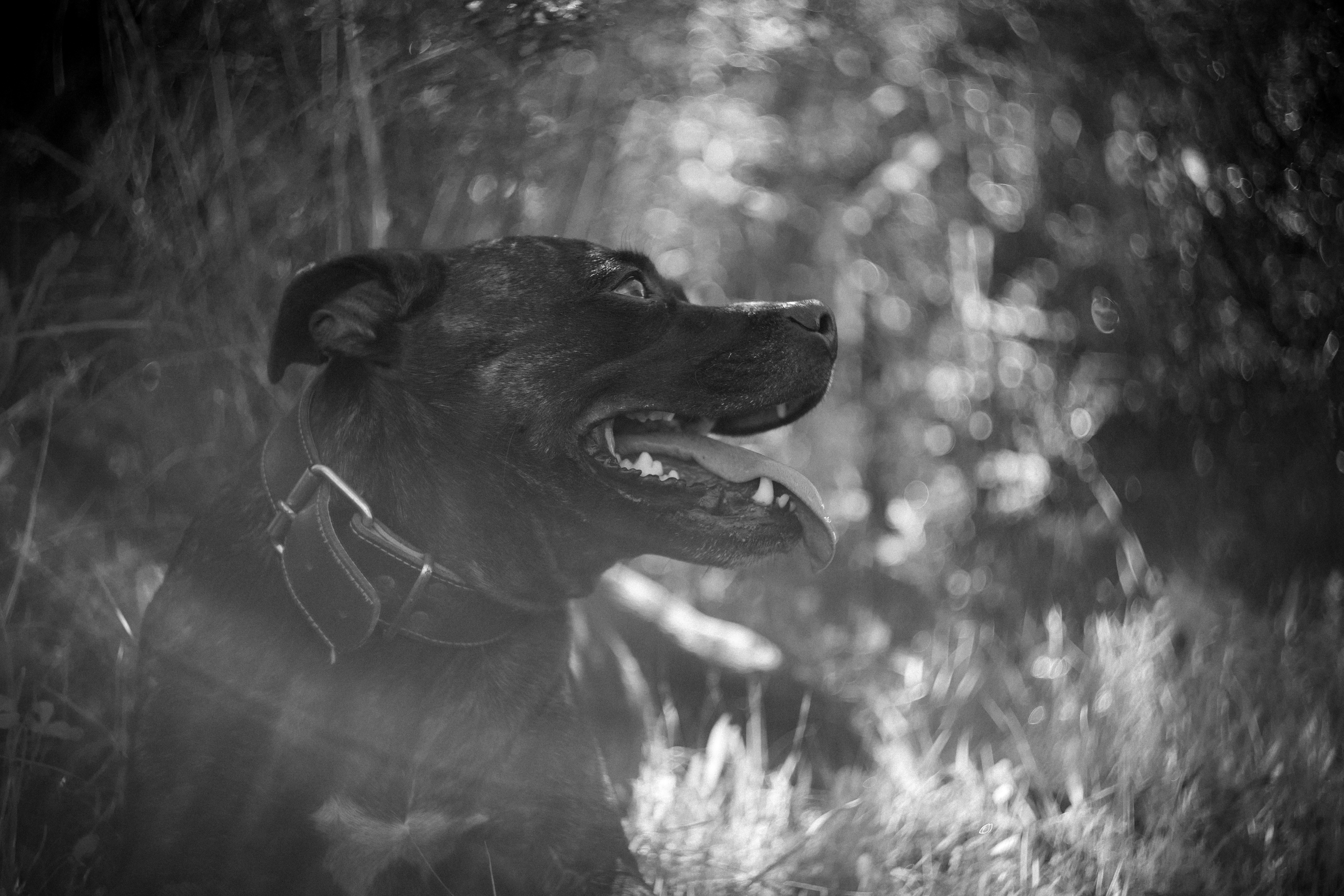 Photo by victor_vector