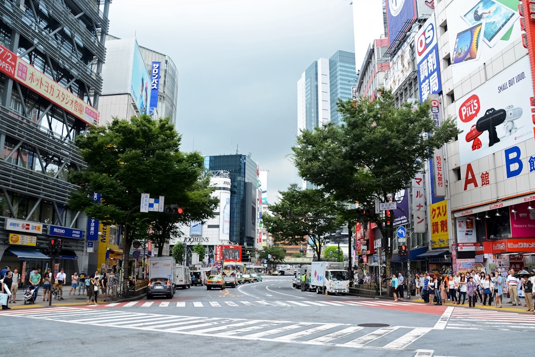 people walking on pedestrian lane during daytime