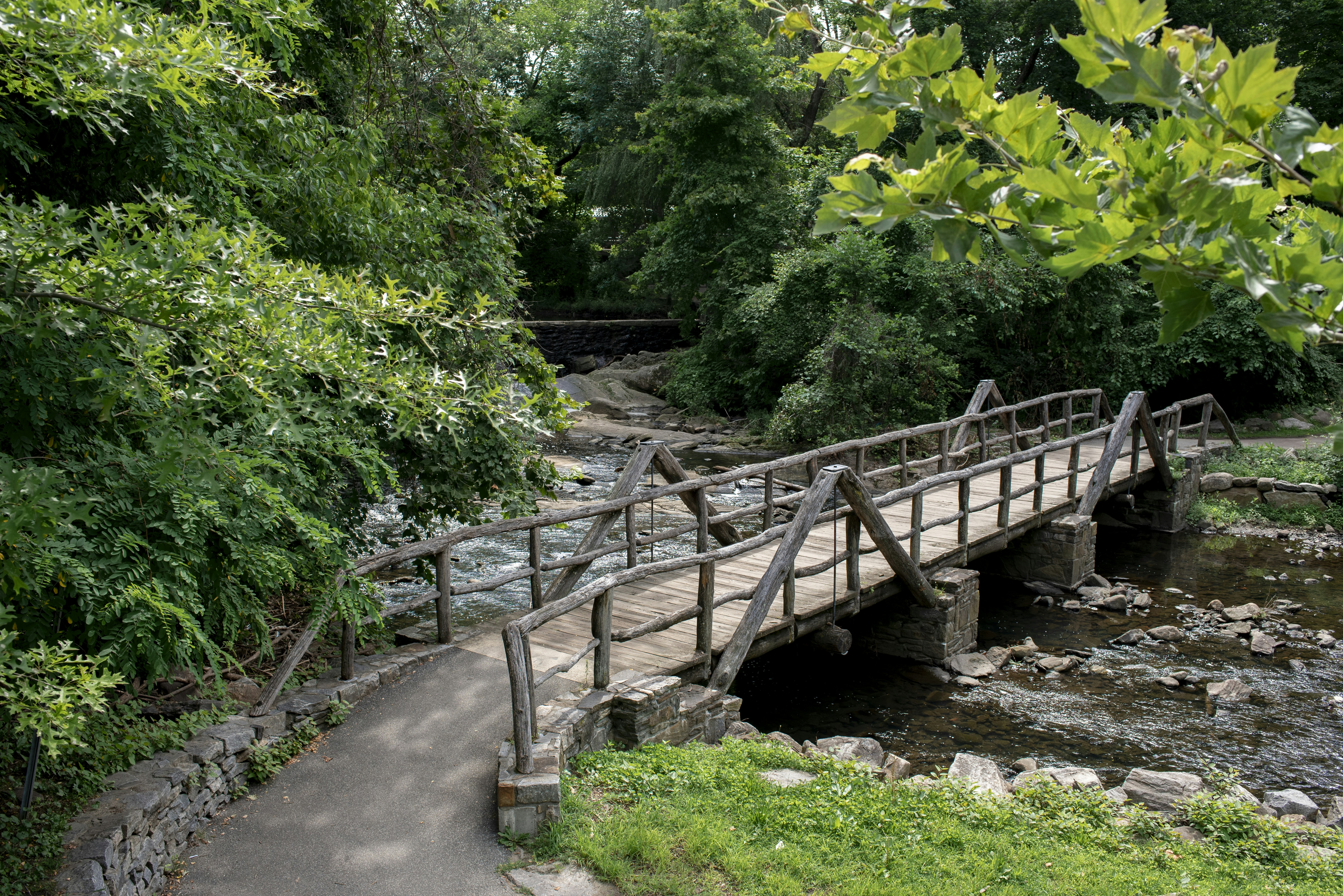 Photo by letstakeapicture