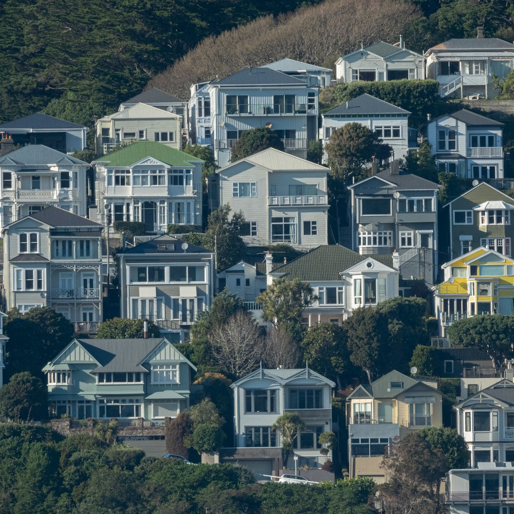 white and brown houses near green trees during daytime