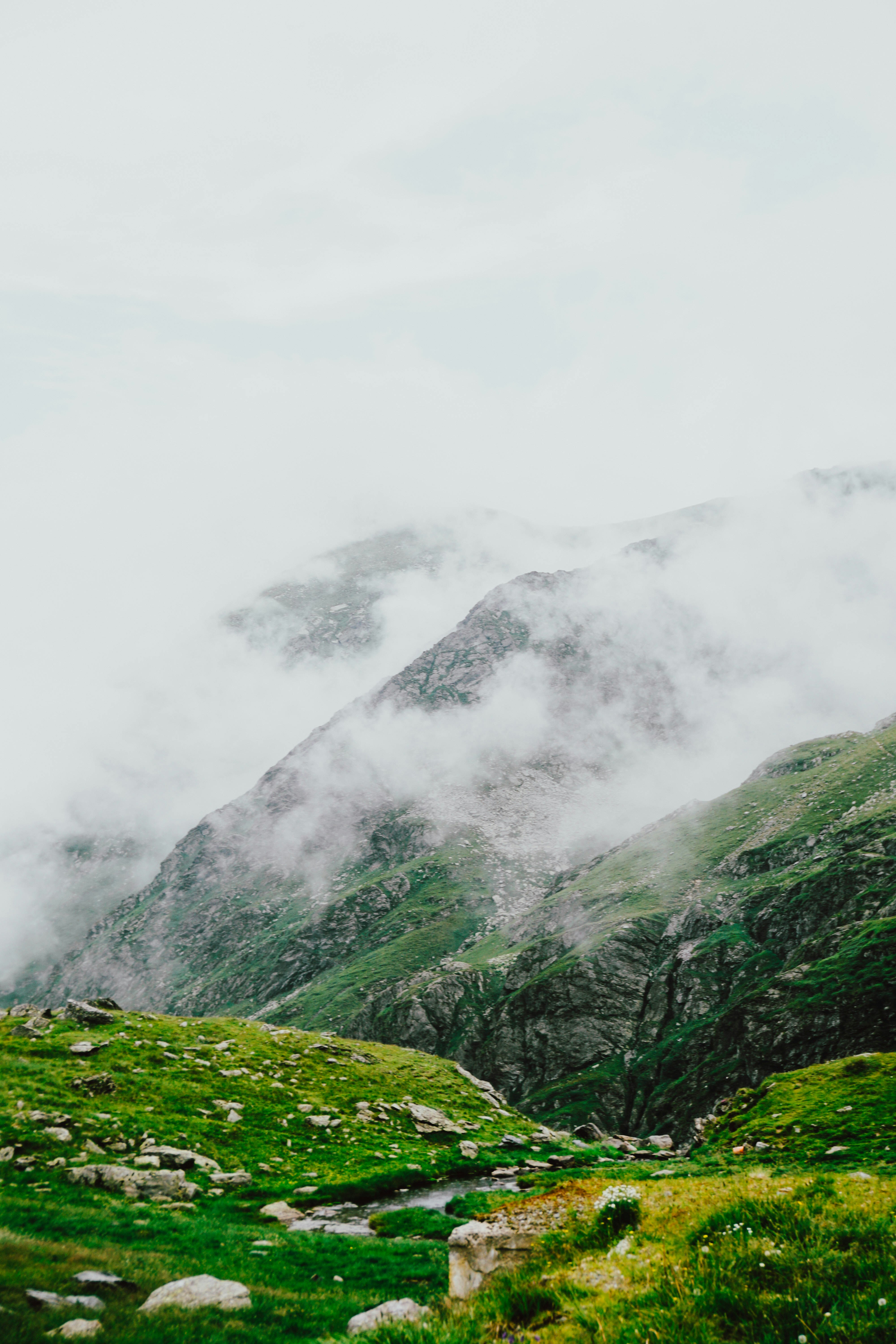 Photo by luisgherasim