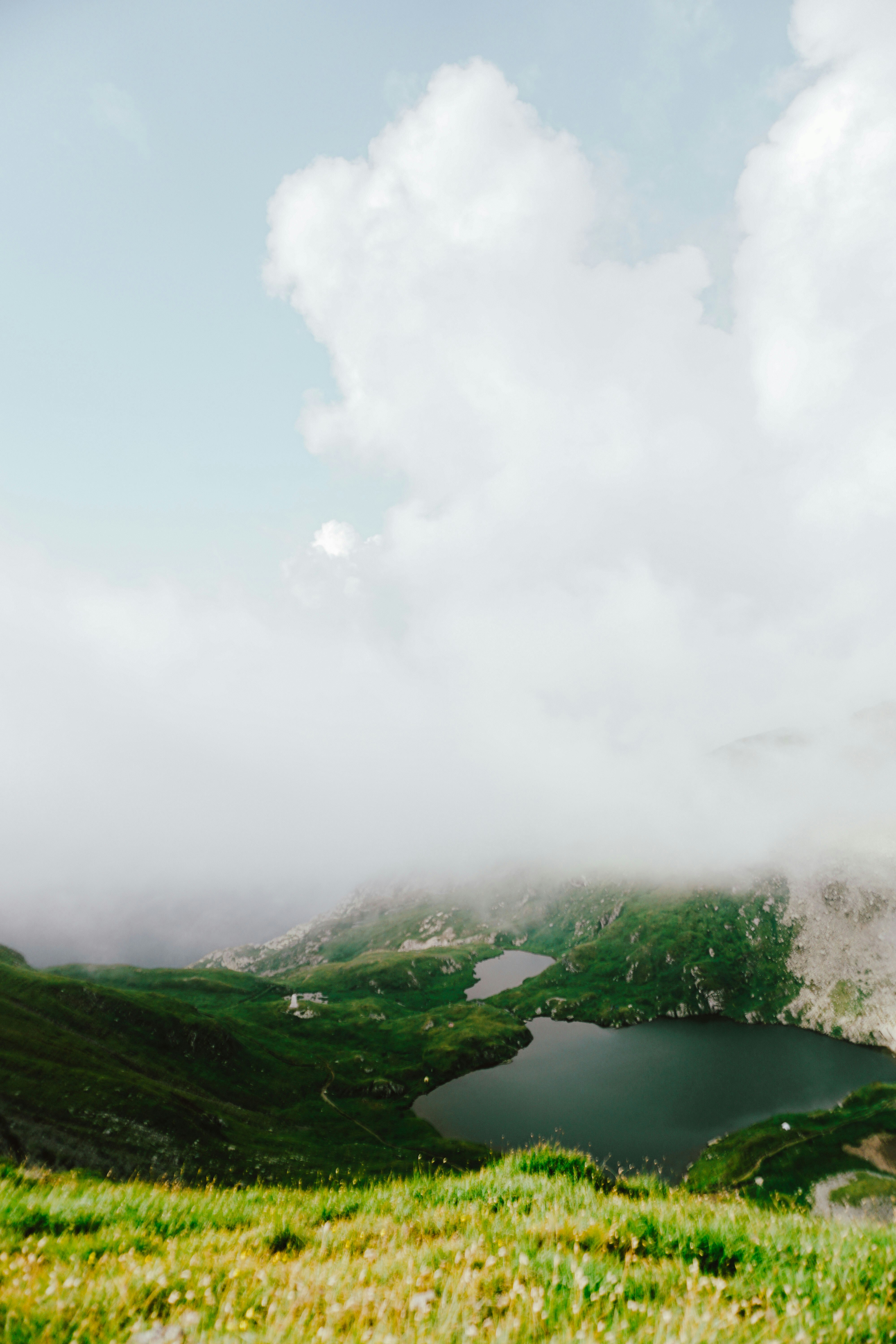 Photo by luisgherasim