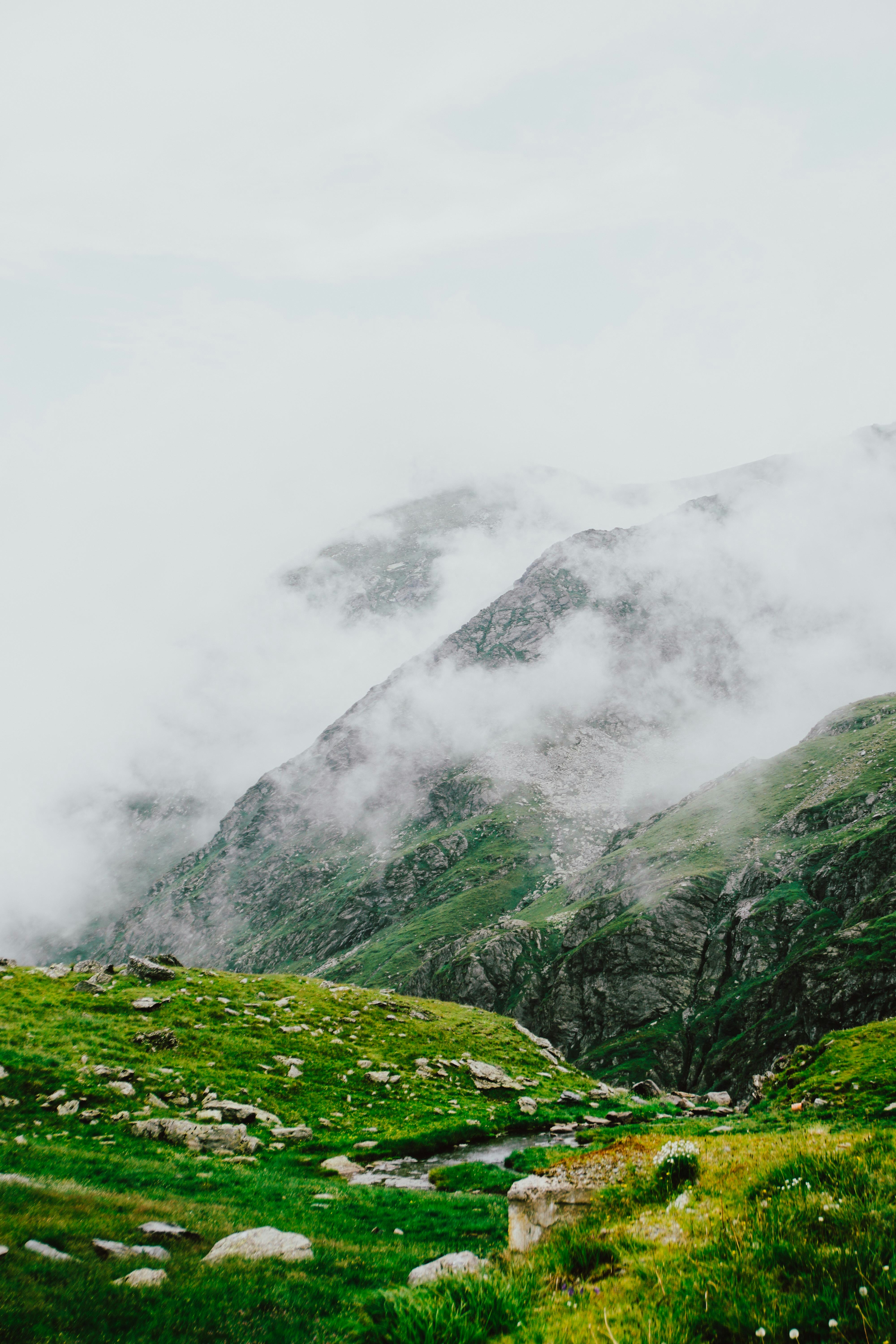 Photo by luisgherasim