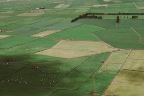 aerial view of green and brown field