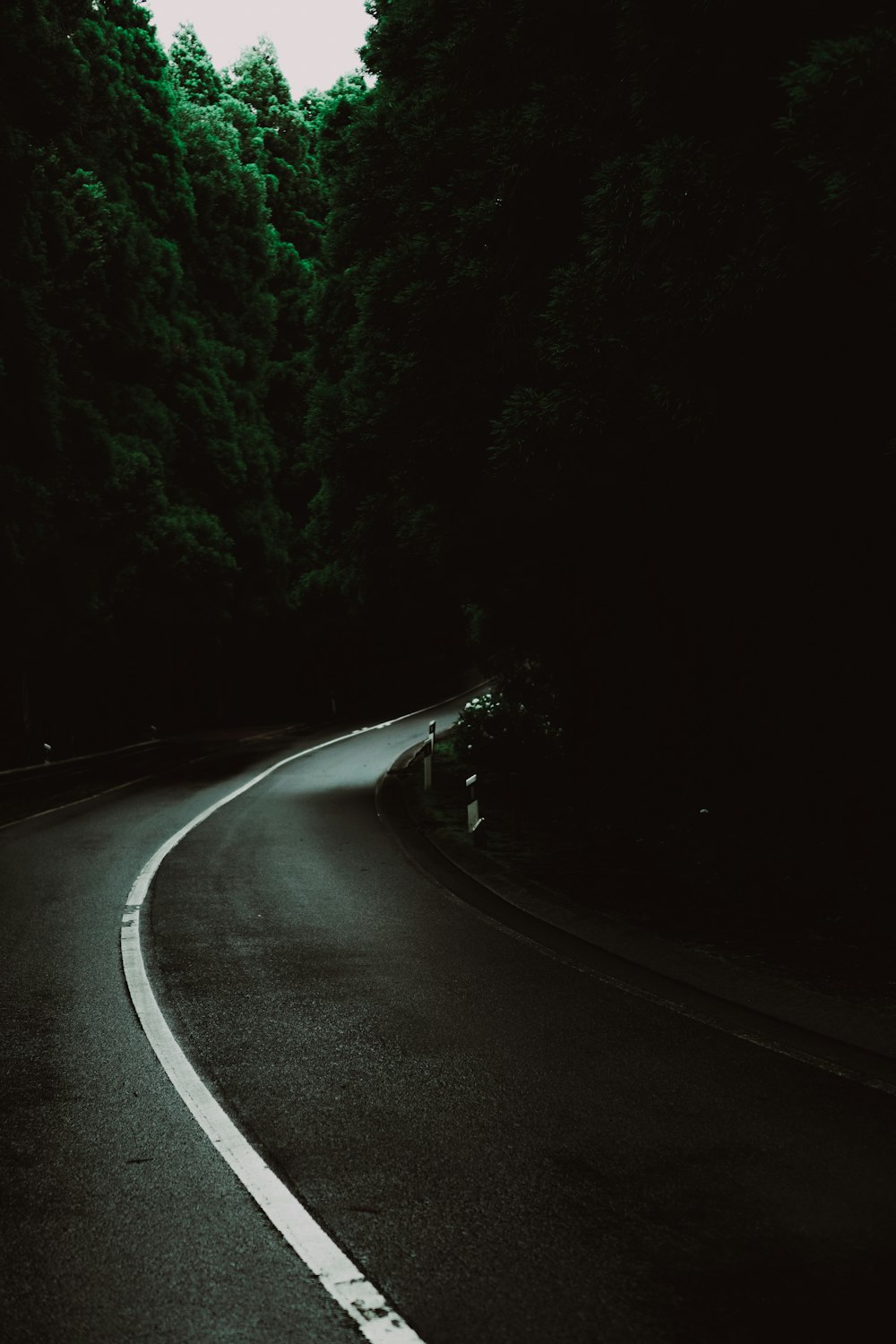 black asphalt road between trees