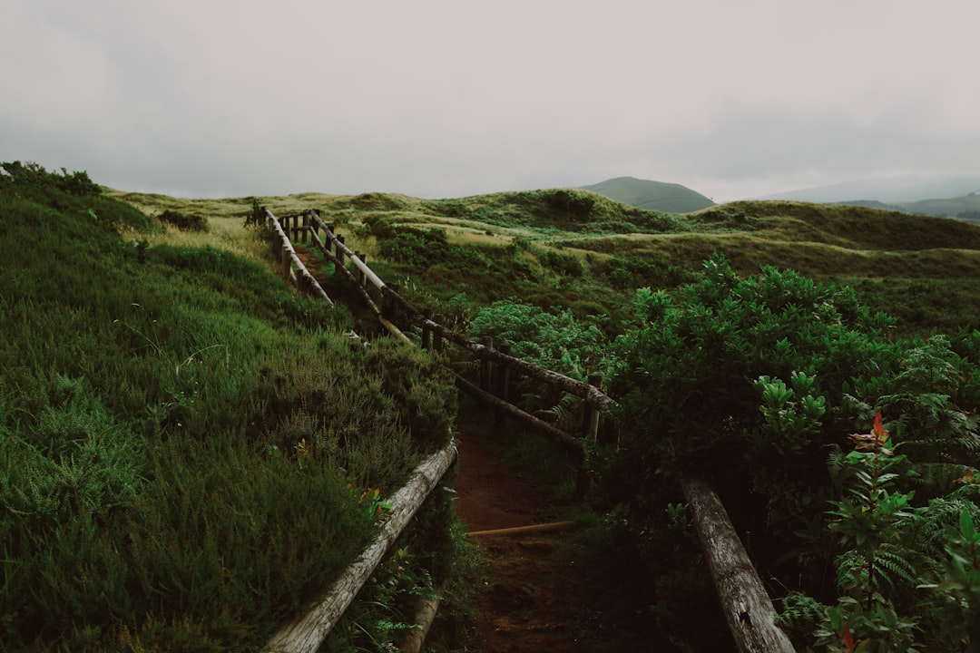 green grass field near mountain during daytime