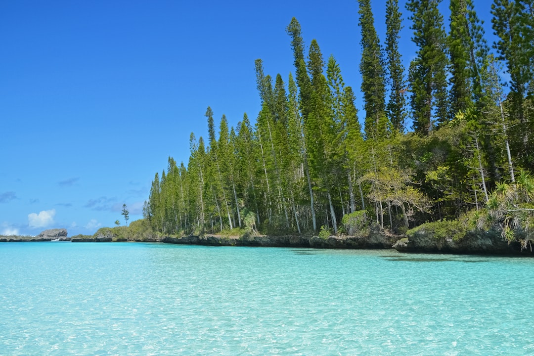 green trees on island during daytime