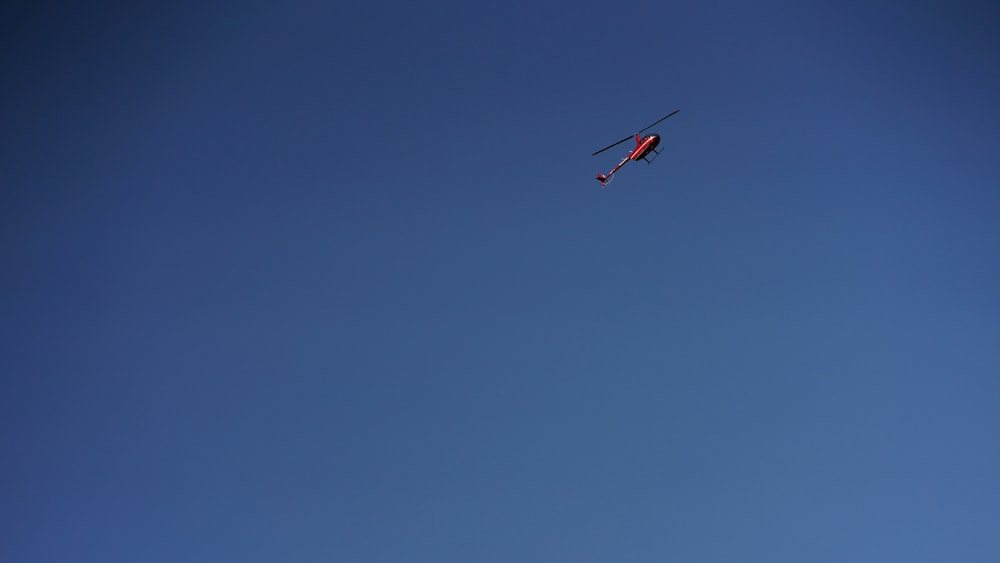 red and white bird flying under blue sky during daytime