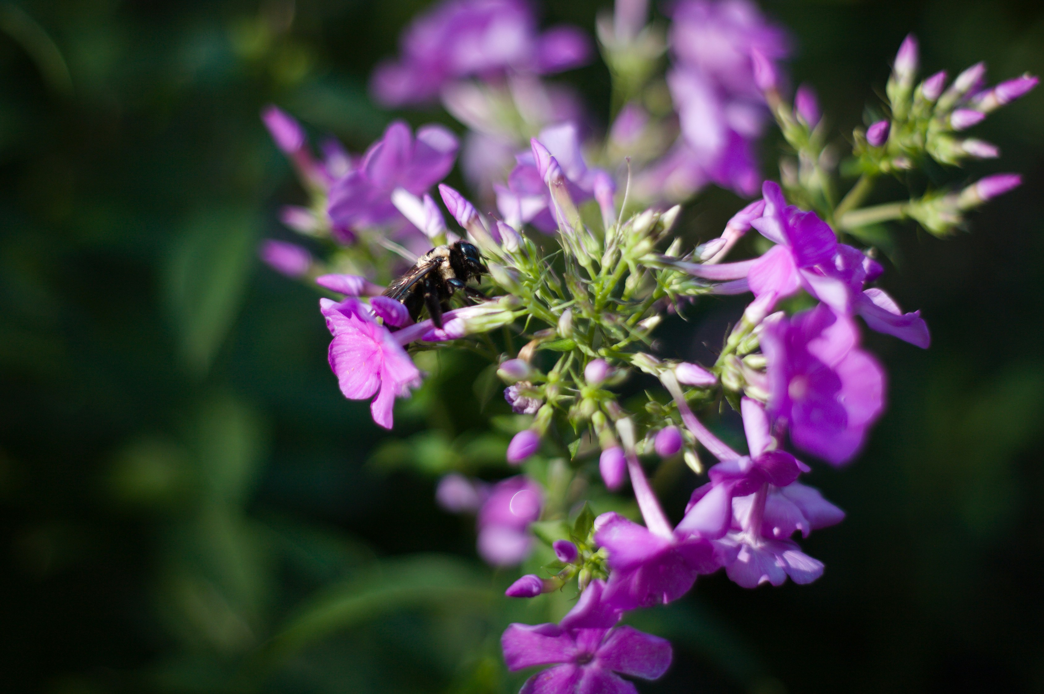 Photo by jothamsutharson