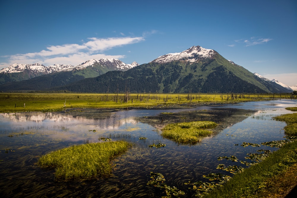 green grass field near lake and mountain under blue sky during daytime