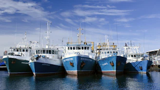 white and blue boat on sea during daytime
