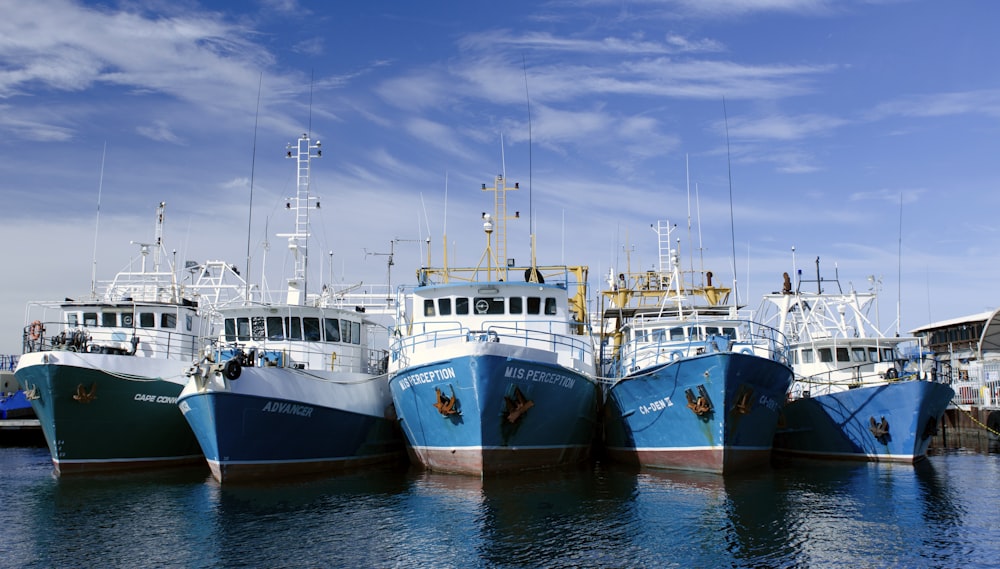 weißes und blaues Boot tagsüber auf See