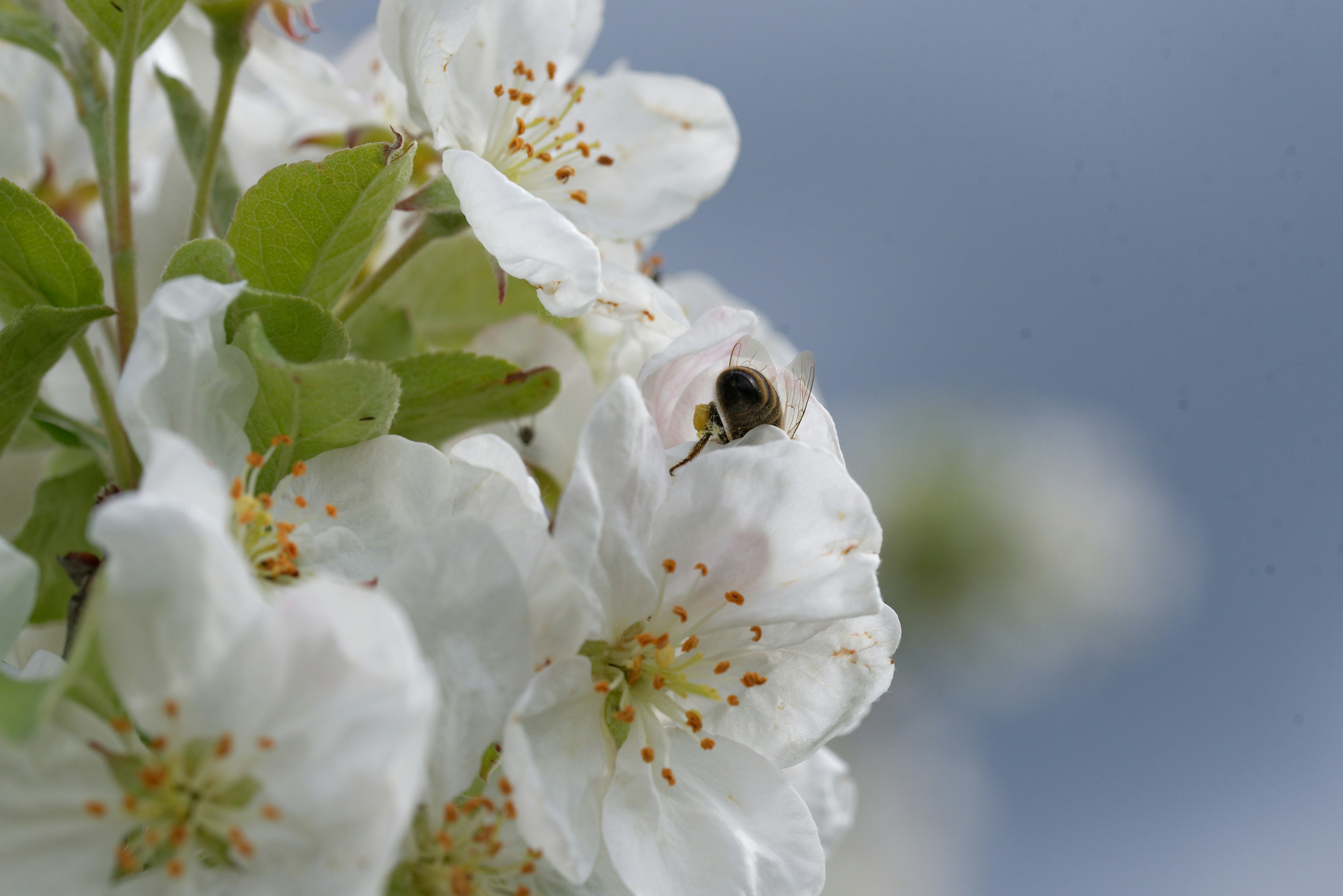 Photo by designbytholen