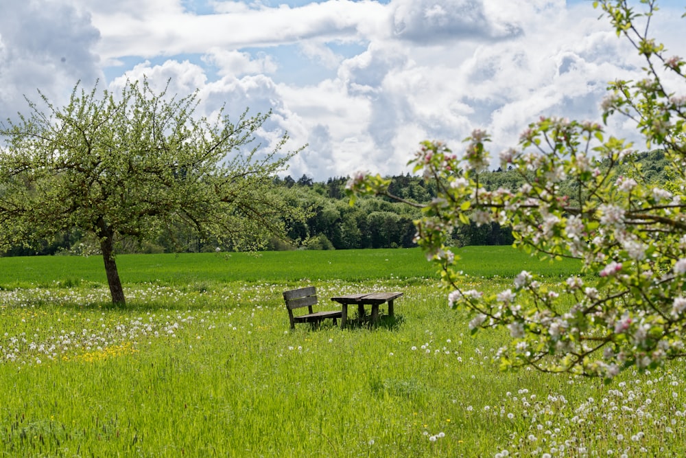 brown wooden bench on green grass field under white clouds during daytime