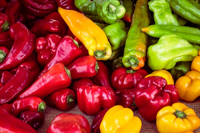 Understanding Peptides: Types, Benefits, and Applications in Health and Wellness