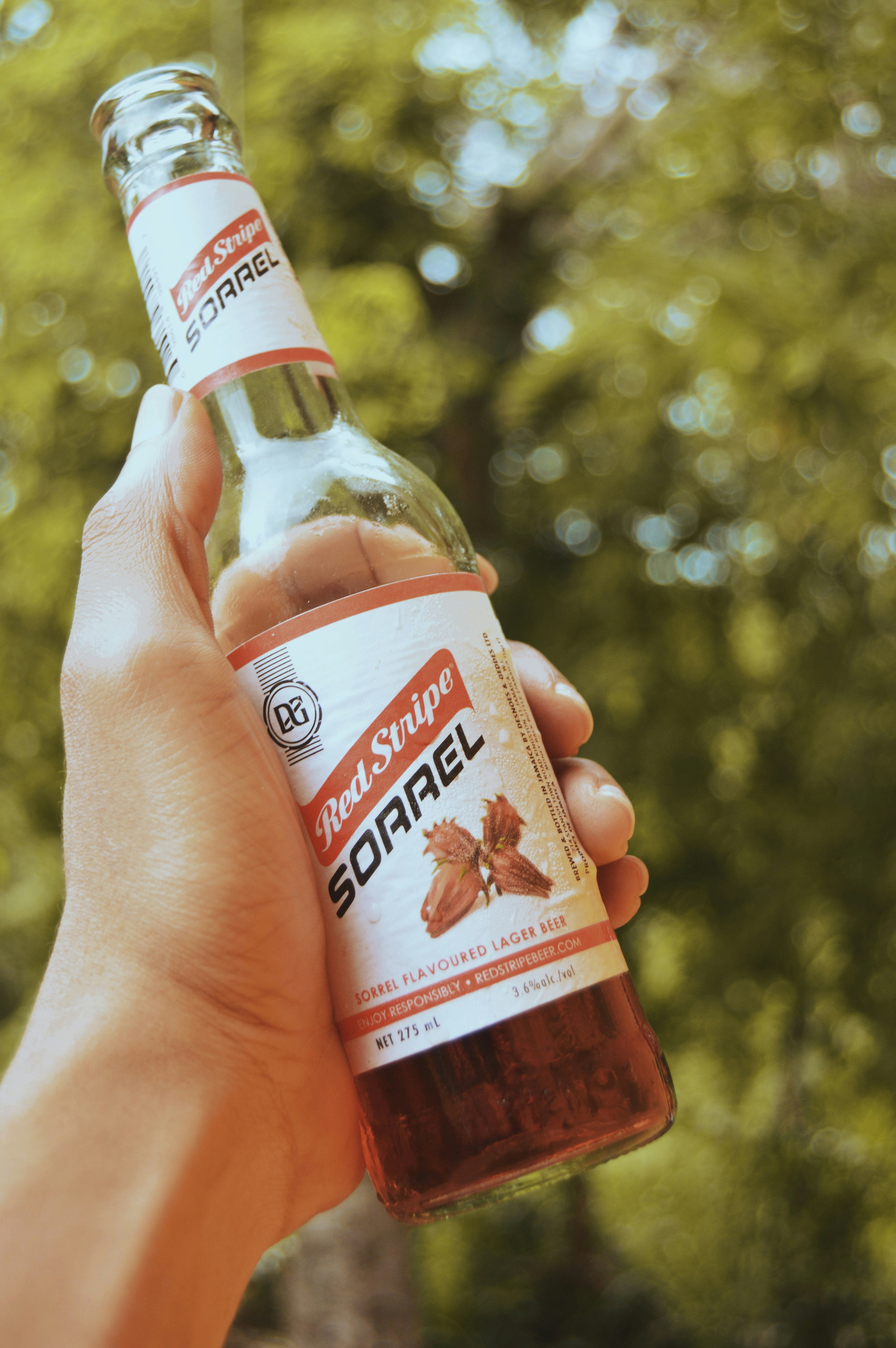 SOUTH AUSTRALIAN CARIBBEAN COMMUNITY's image