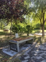 Minimalist metal bench placed beside a sunlit garden path.