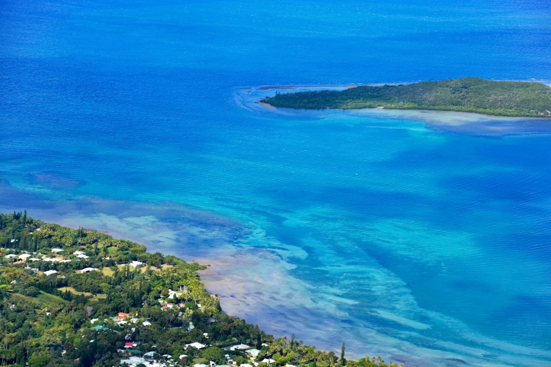 aerial view of green trees and blue sea during daytime