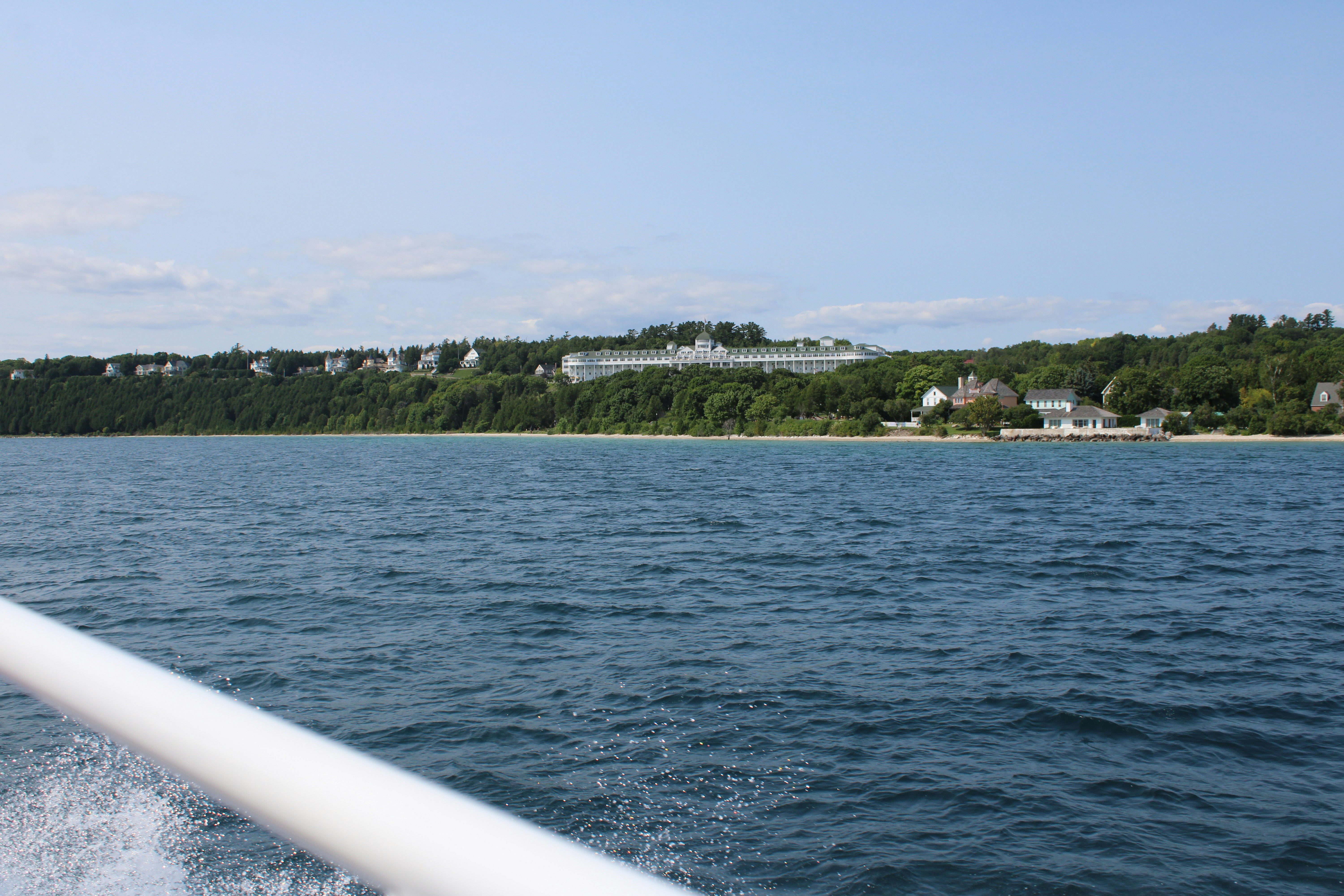 green trees near body of water during daytime, 