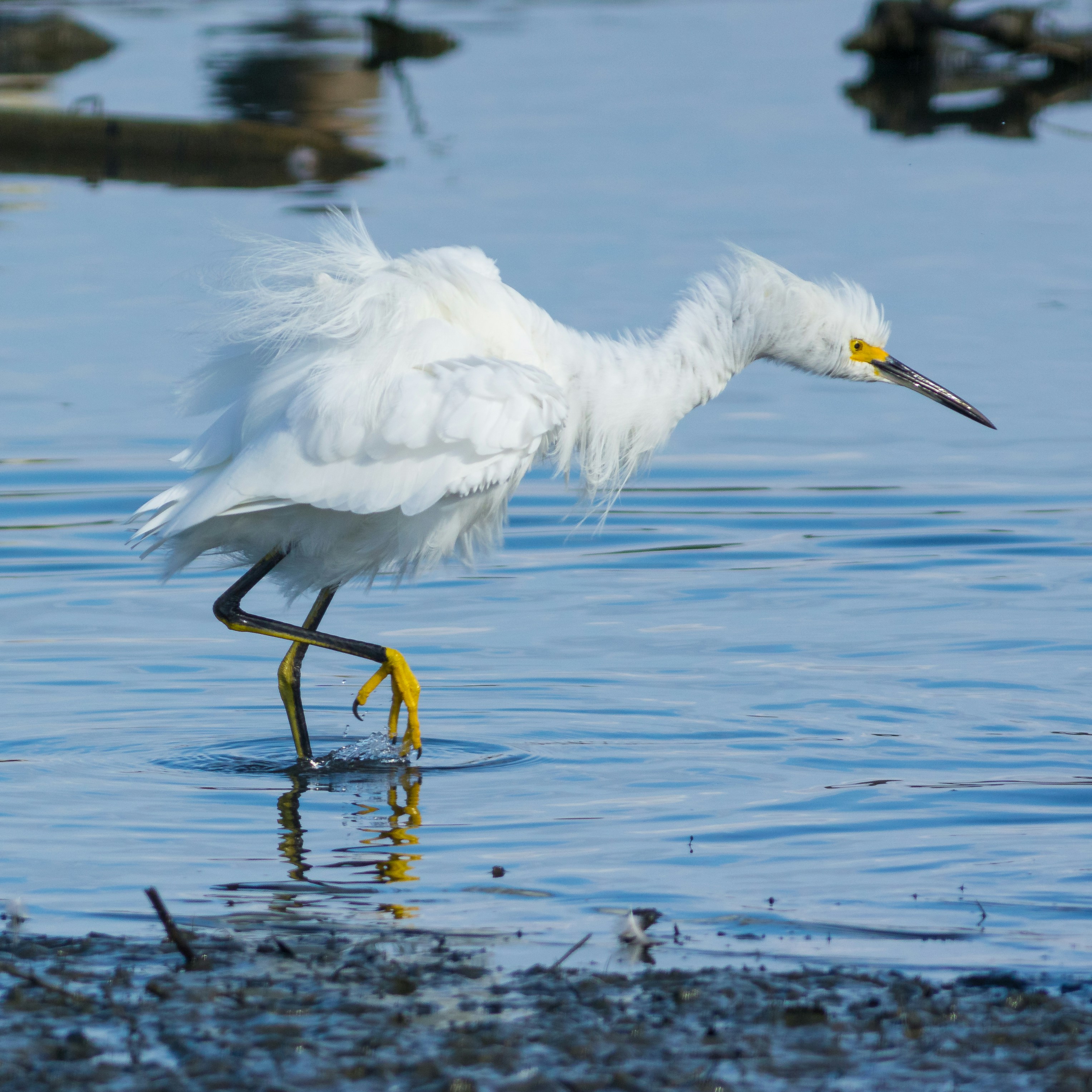 Photo by tuninglever