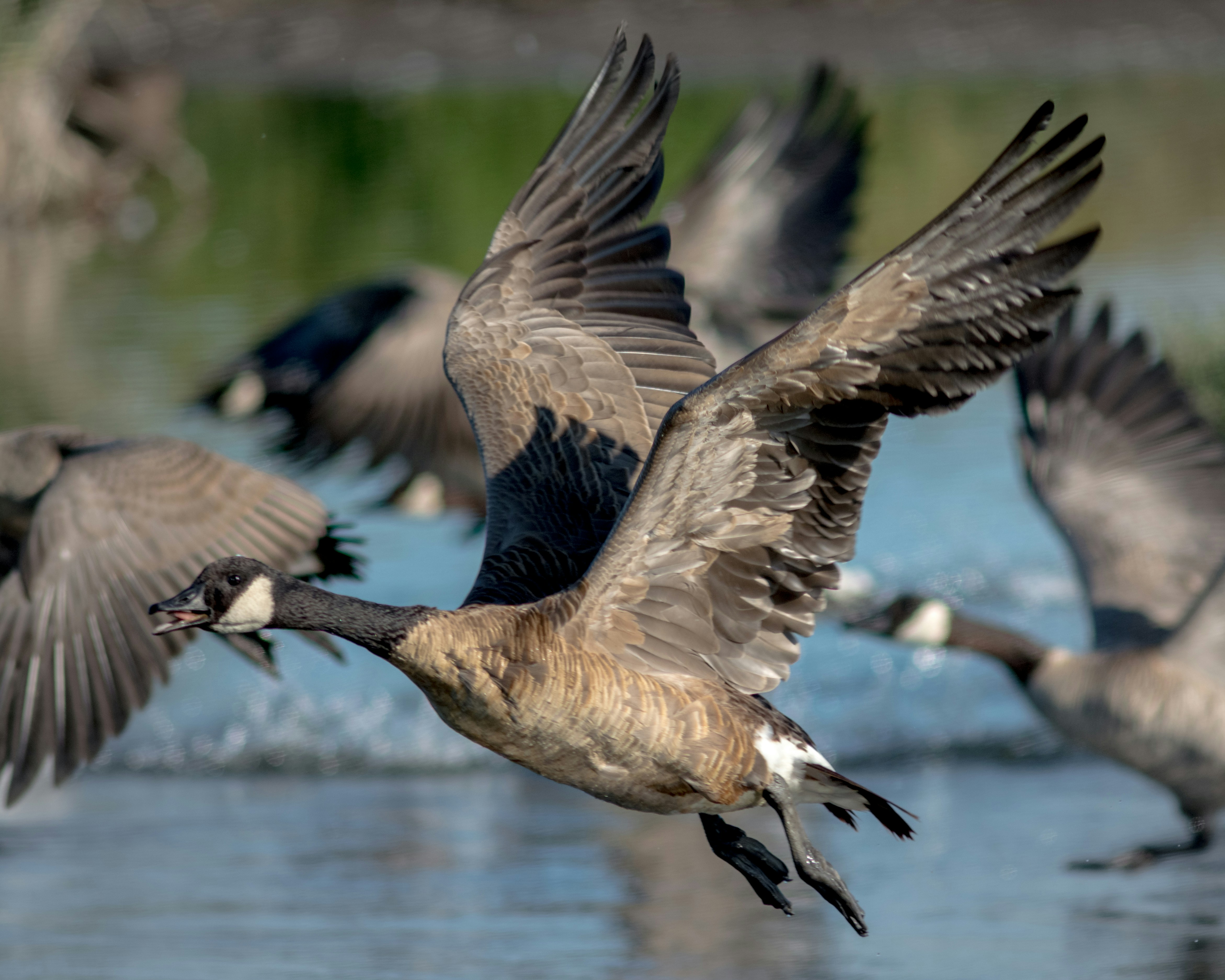 Photo by tuninglever