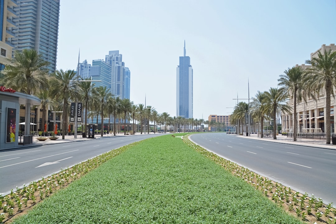 green grass field near city buildings during daytime