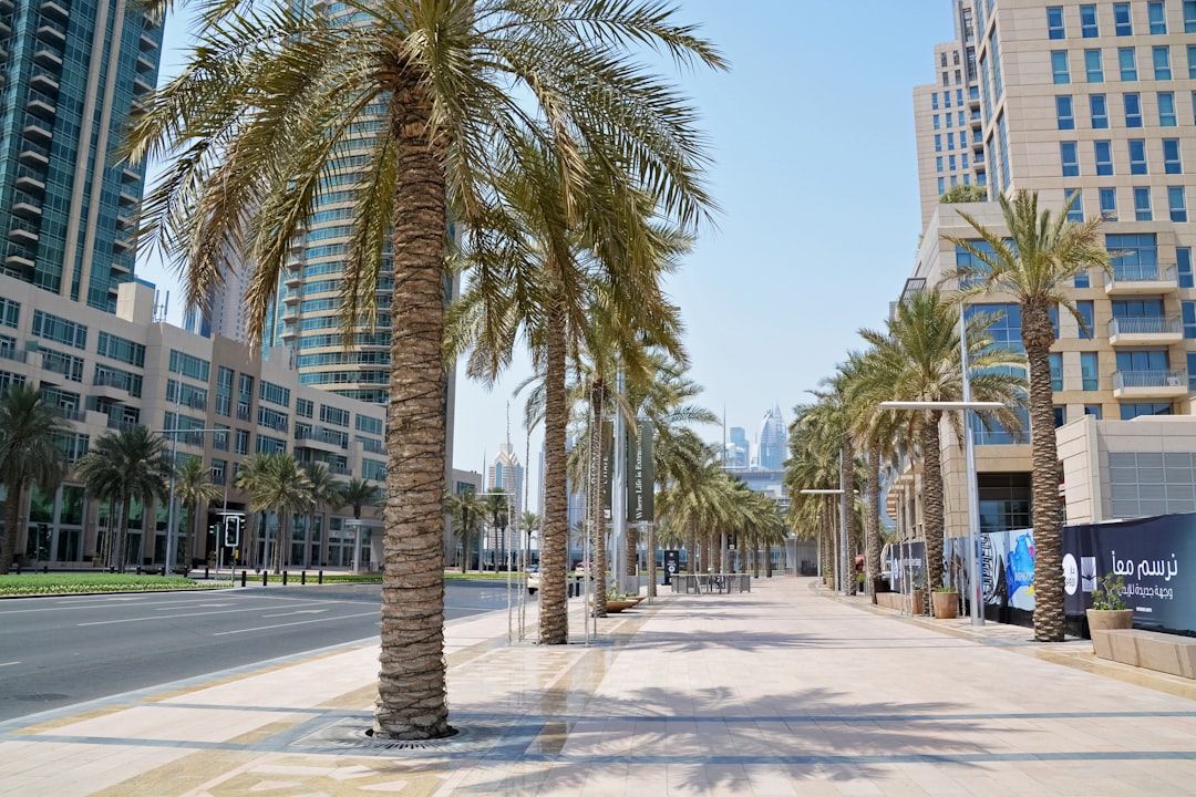 green palm trees near white concrete building during daytime