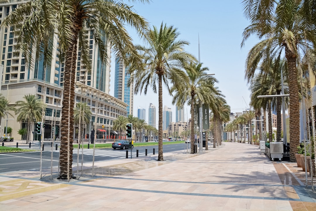 people walking on sidewalk near palm trees during daytime