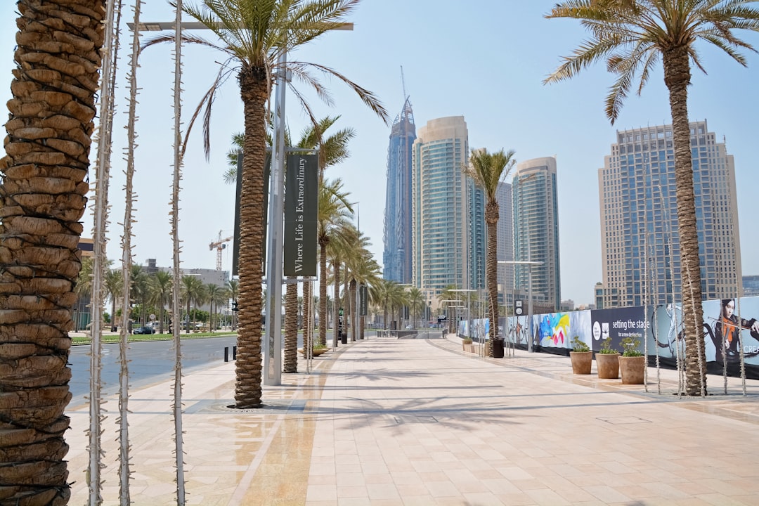 palm trees near high rise buildings during daytime