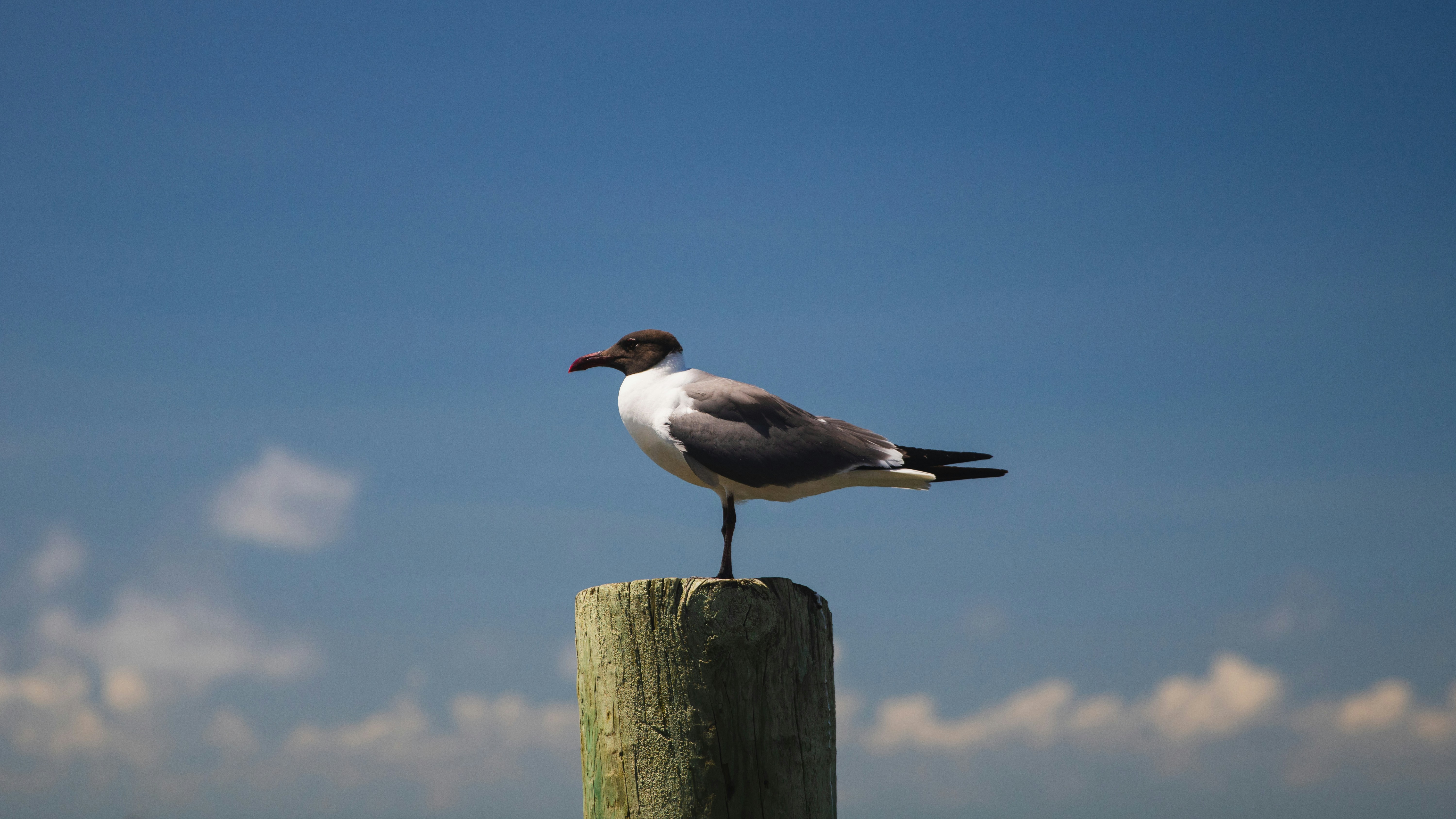 Photo by raymondkotewicz