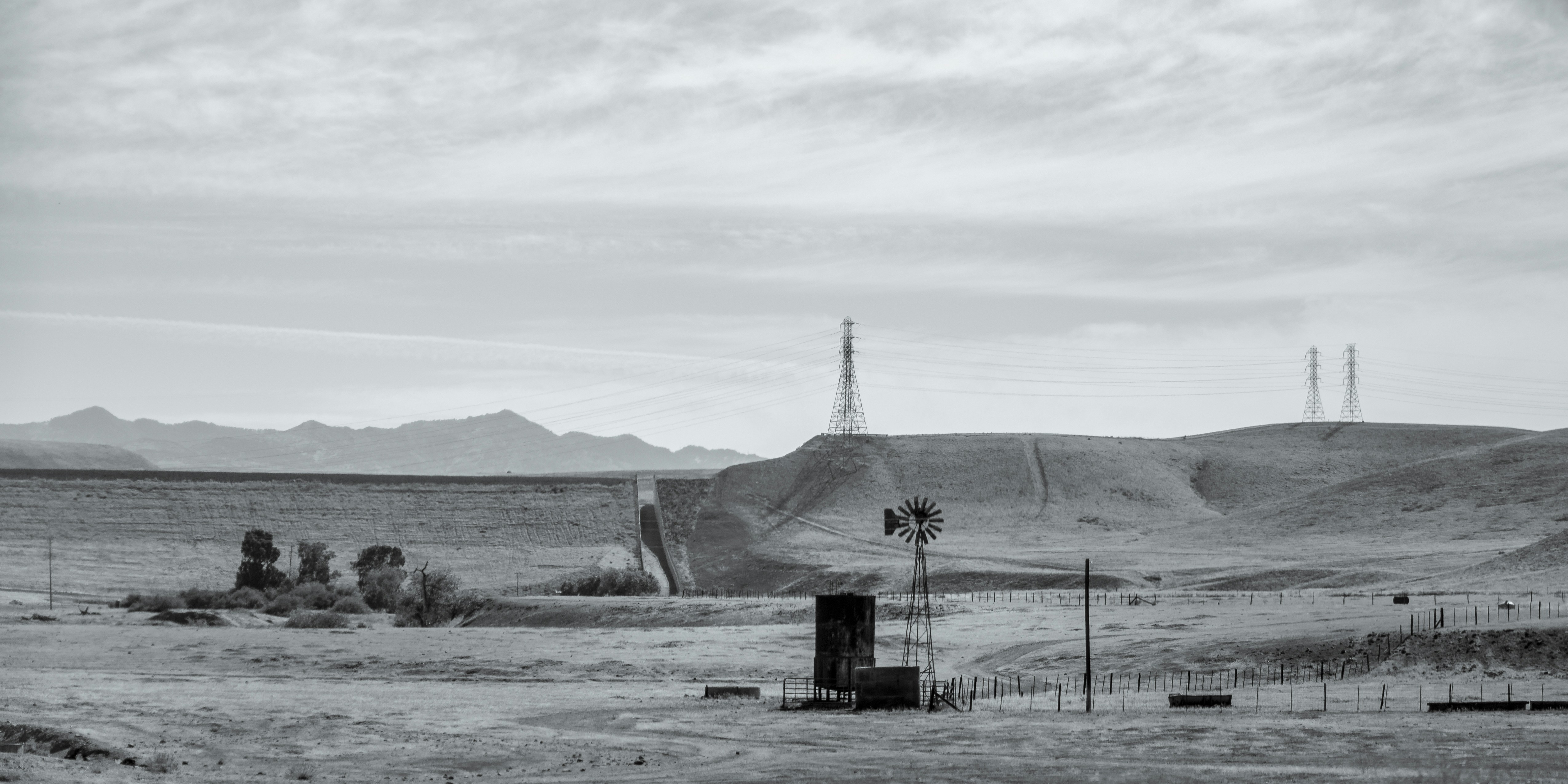 brown wooden post on body of water during daytime