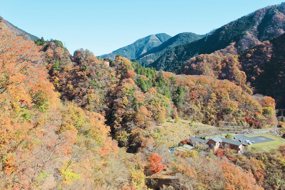 Autumn color on forested hills in Okutama, with buildings in a clearing below and darker peaks behind