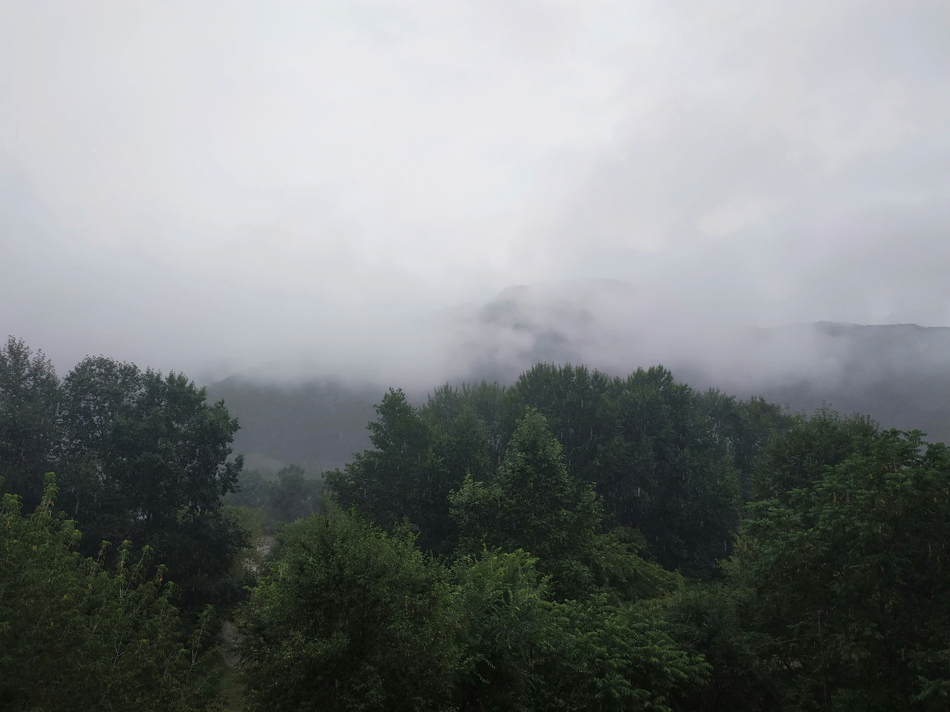 Photo by markuswedler