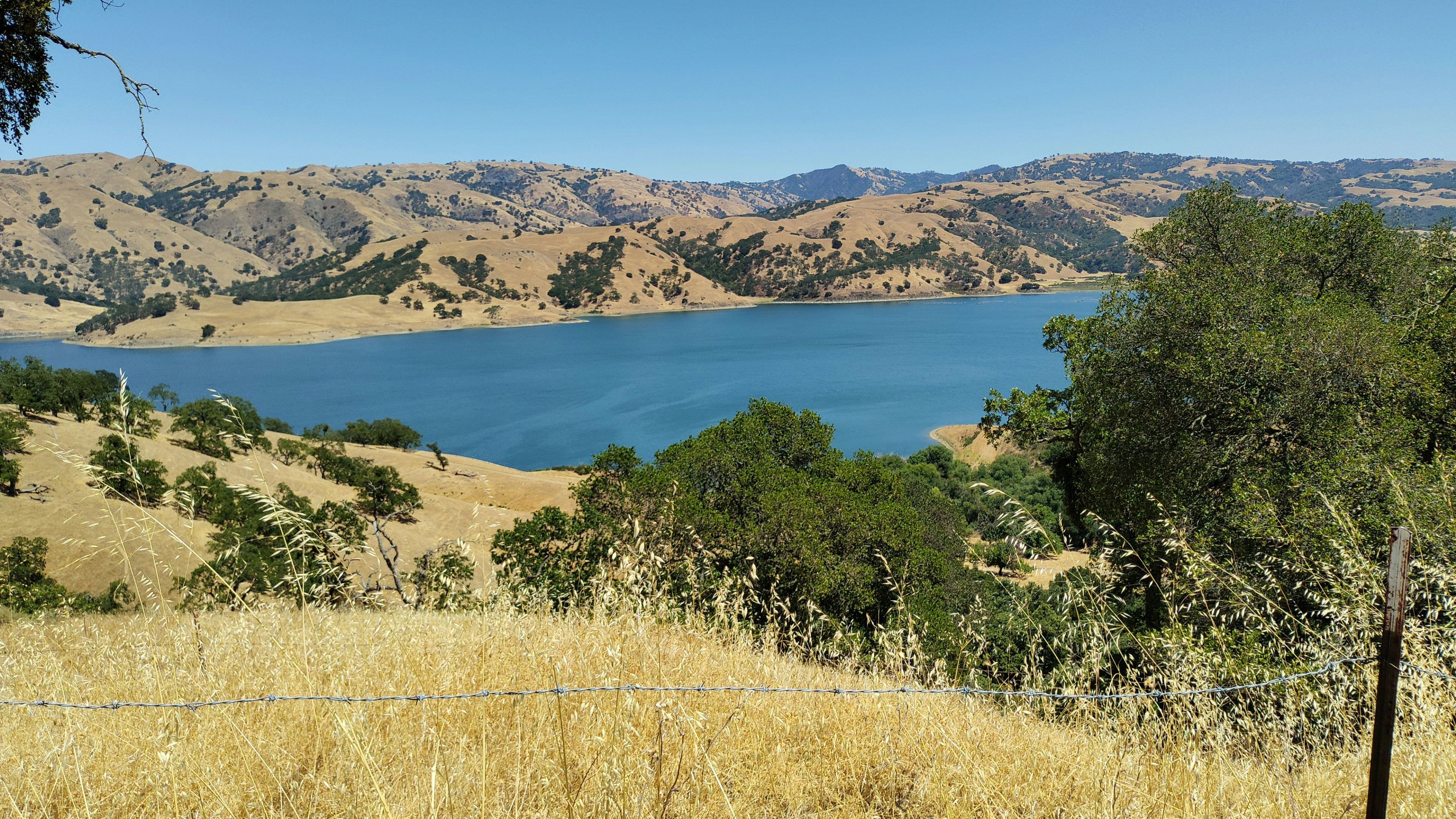 Photo by ludwigvonruhm