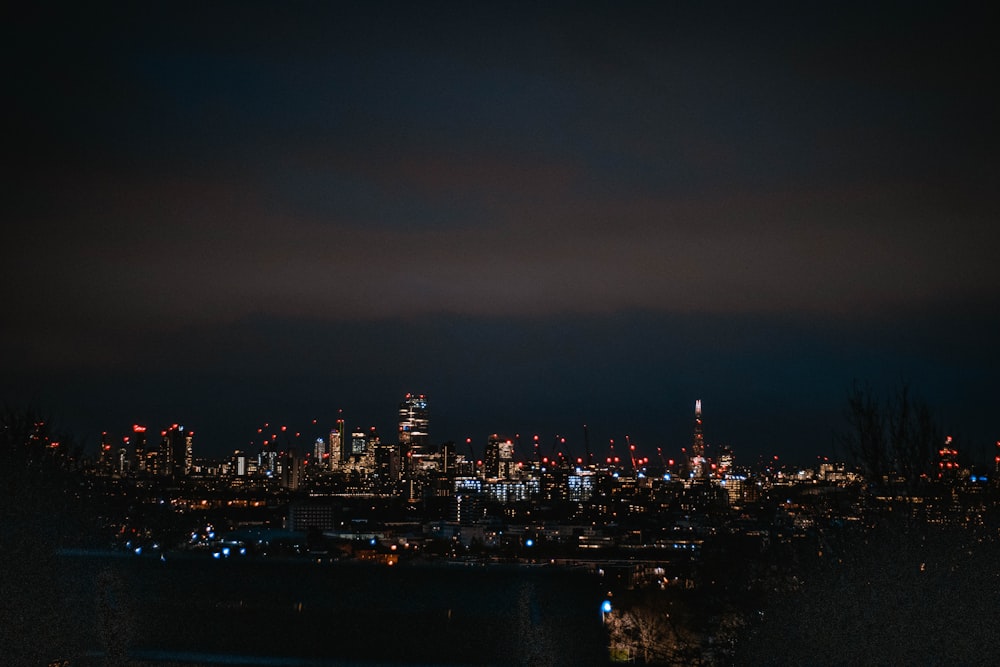 city skyline during night time