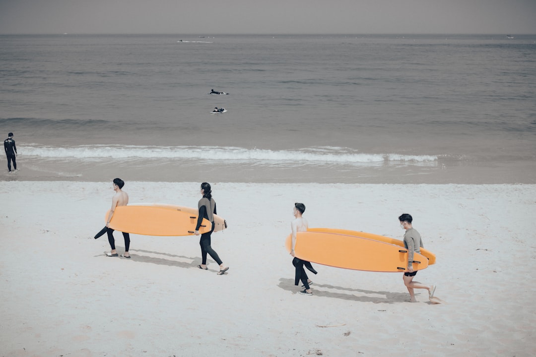 people on beach during daytime