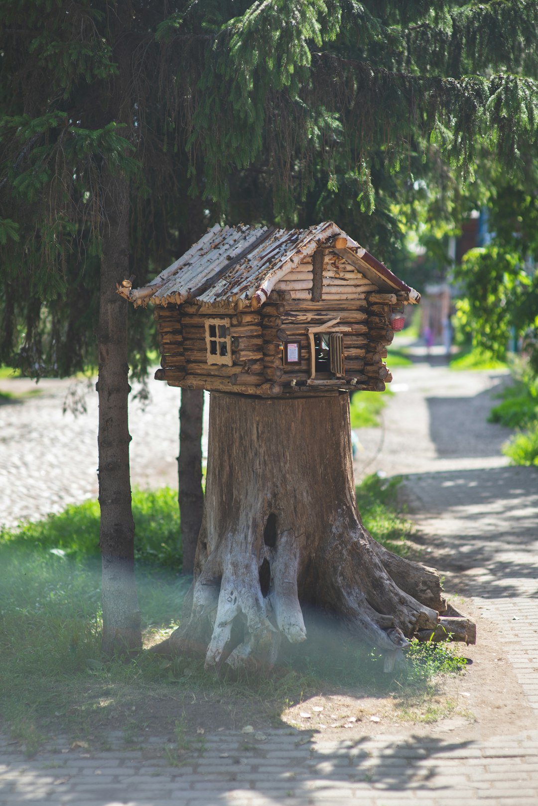 brown wooden birdhouse on tree trunk