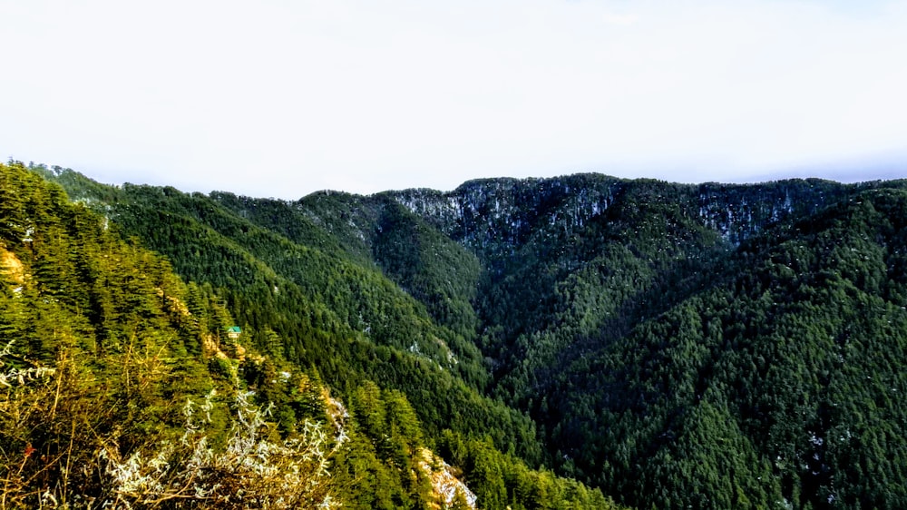 green mountains under white sky during daytime