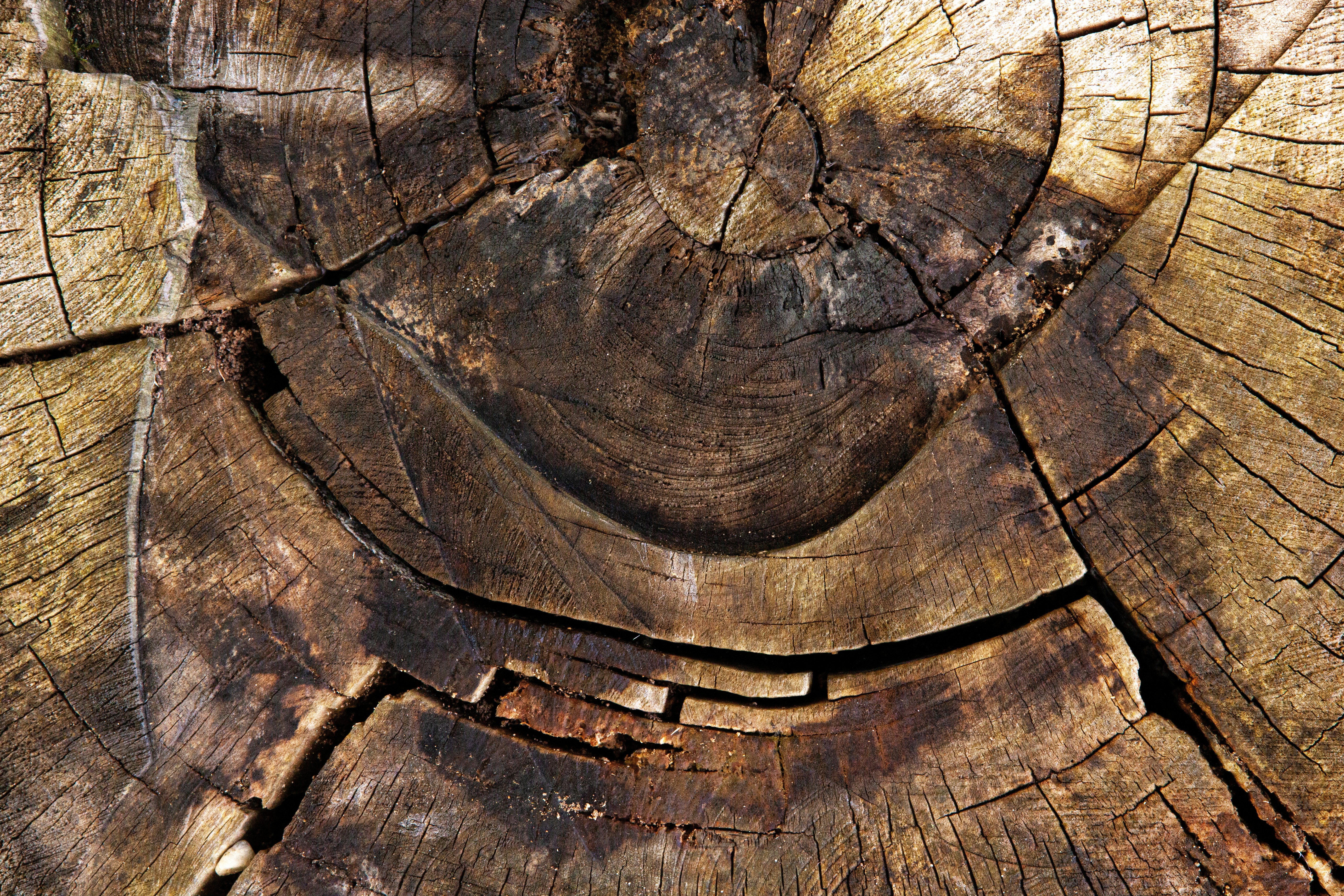 Photo by wilhelmgunkel