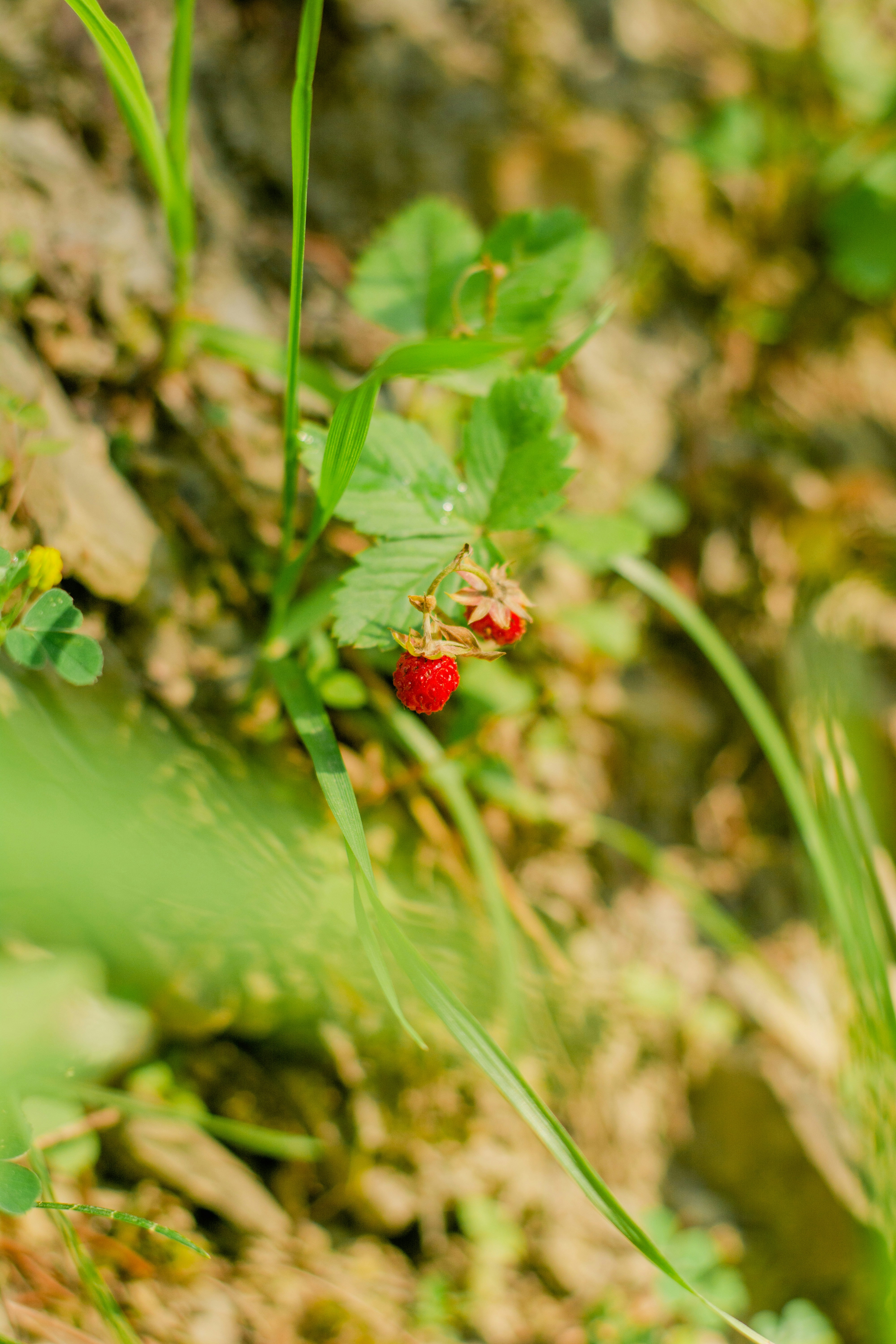 Photo by eugenivy_now